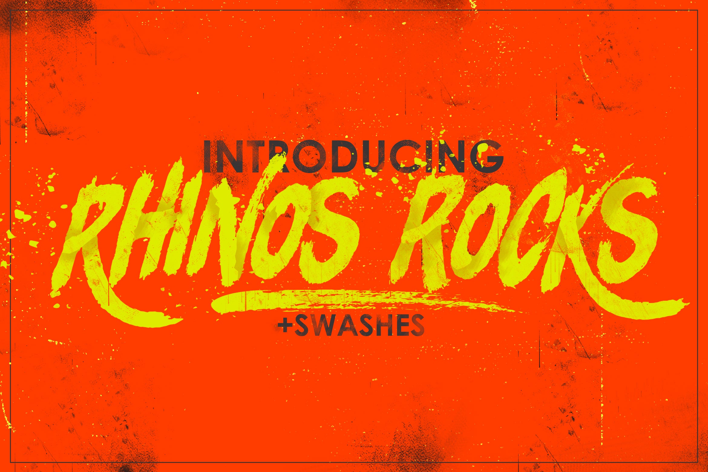Rhinos Rocks +Swashes